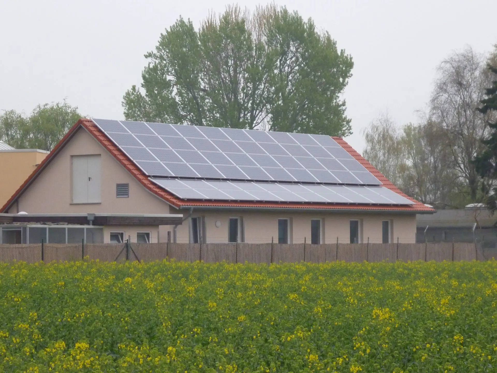Tierheim Hannover